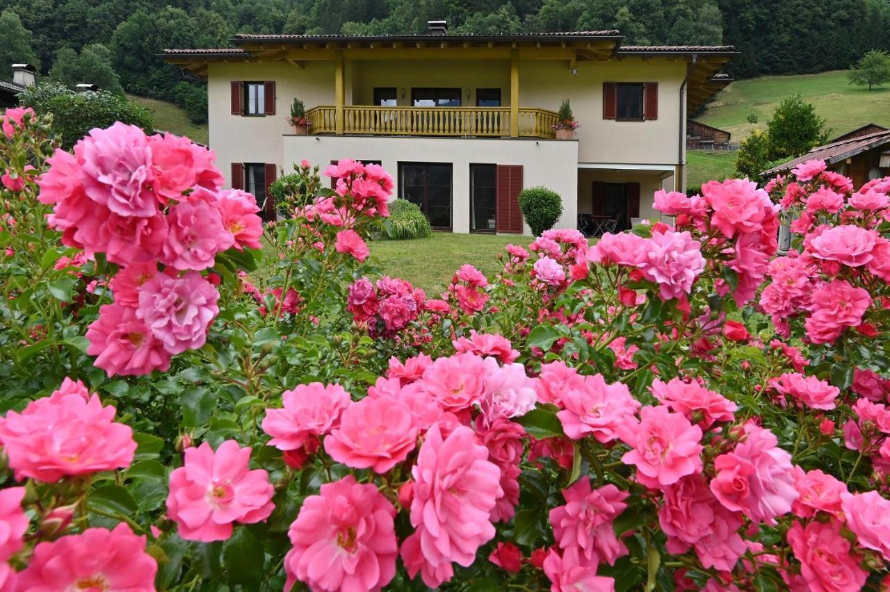 Ferienhaus Schwarzhans 쉬룬즈 외부 사진